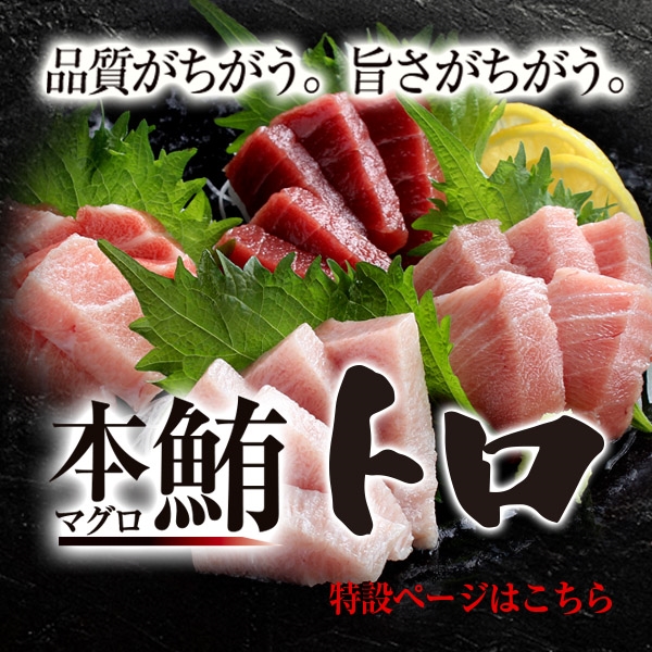 マグロの吉井 まぐろお取り寄せ通販専門店【公式】